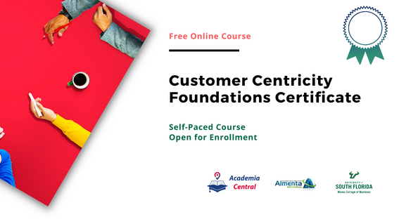 Customer Centricity Foundations Certificate CCFC1001